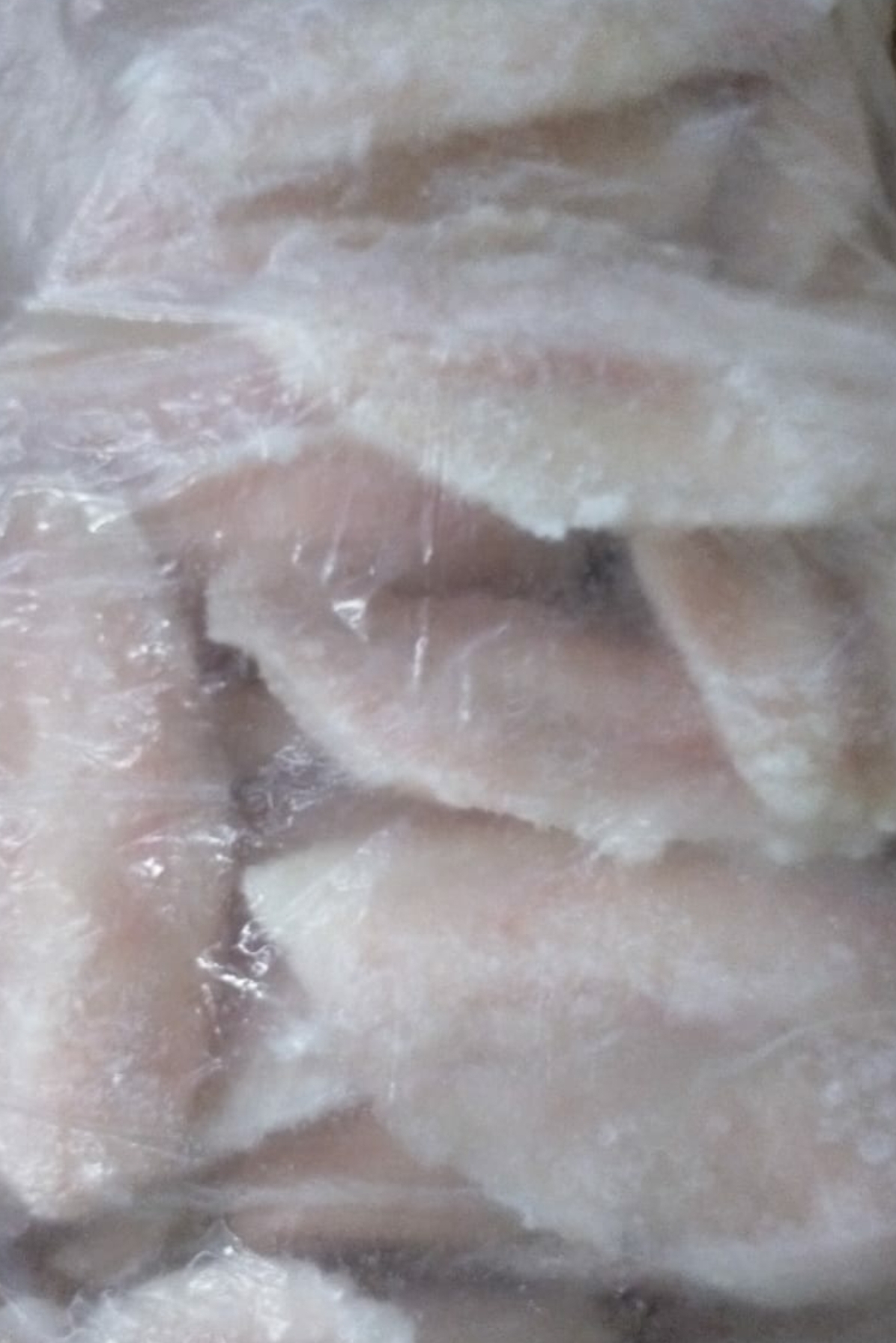 Fillet Nila Skinless Beku